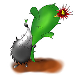 Колючка для Колючки Колючка для Колючки