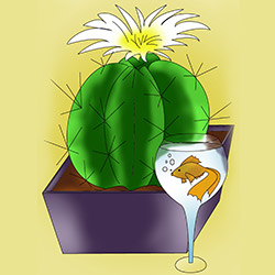 Кактус и Рыбка