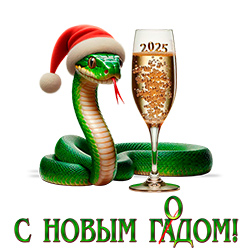 С Новым Годом 2025! С Новым Годом 2025!