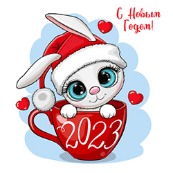 Котокролик 2023 Котокролик 2023