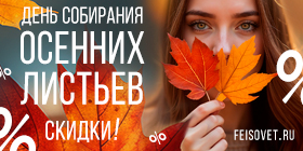 День собирания осенних листьев или Минус 19%