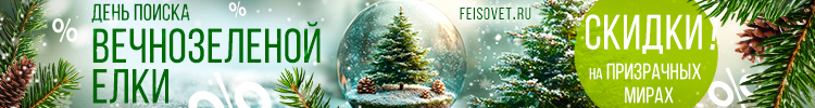 День поиска вечнозеленой елки или Минус 19%