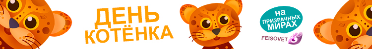 День котенка или Минус 15%