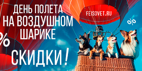 День полета на воздушном шарике или Минус 11%