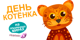 День котенка или Минус 15%