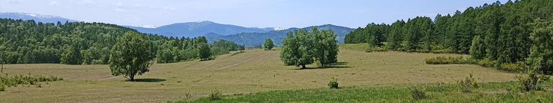 Ксения Крутская