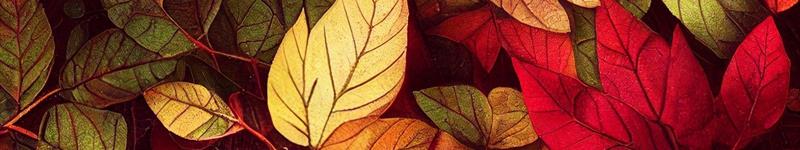 Маргарита Вольная