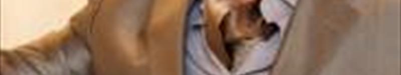 Константин Столичный