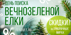 День поиска вечнозеленой елки или Минус 19%