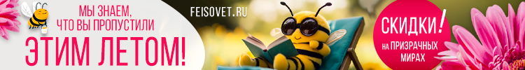 Мы знаем, что вы пропустили этим летом!