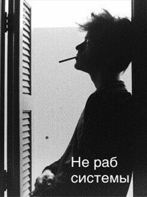 Не раб системы
