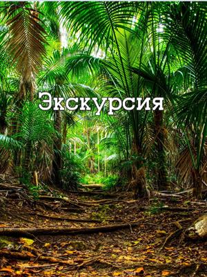 Экскурсия Экскурсия