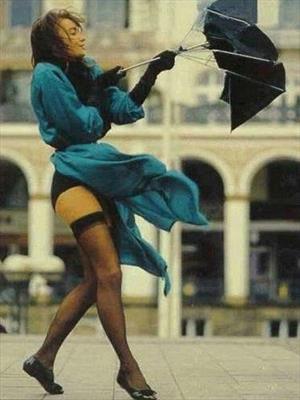 Дневник добродетельной женщины