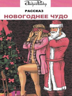 Рассказ Новогоднее чудо