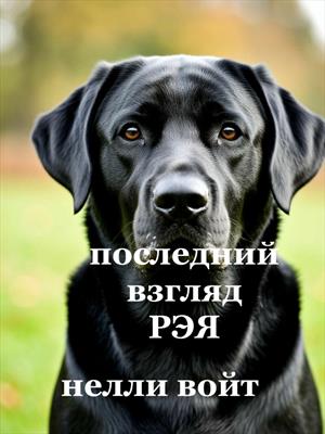 Последний взгляд Рэя