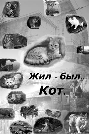 Жил-был... Кот.