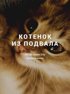 Котенок из подвала