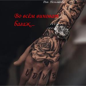 Во всём виноват багаж... Во всём виноват багаж...