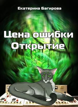 Цена ошибки. Открытие