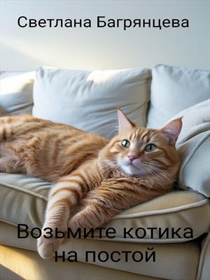 Возьмите котика на постой