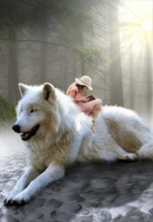 Бергуд - белый волк.