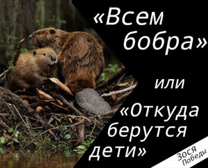 «Всем бобра» или «Откуда берутся дети» «Всем бобра» или «Откуда берутся дети»