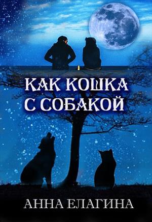 Как кошка с собакой