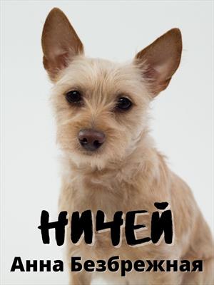 Ничей