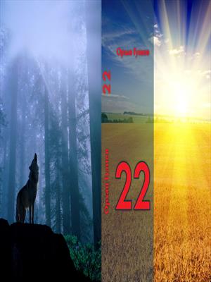 22 (первое издание)