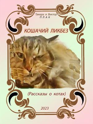 Кошачий ликбез