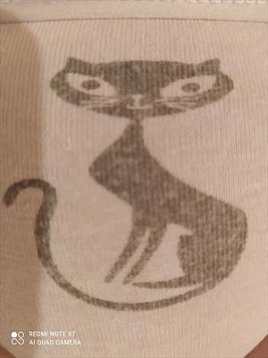 Зловещая Лагуна, или все делов кошках...