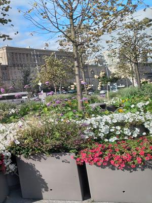 Сенсация карающей богини