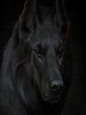 Случай в ноябре