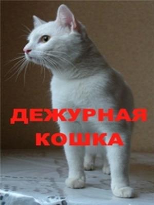 ДЕЖУРНАЯ КОШКА