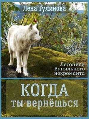 Летописи Ванильного Некроманта. 3. Когда ты вернёшься