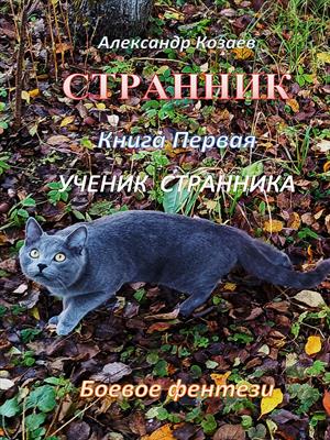 Ученик Странника