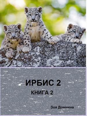 Ирбис 2 Ирбис 2