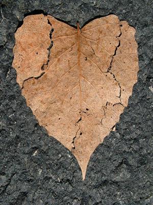 Строки из потока