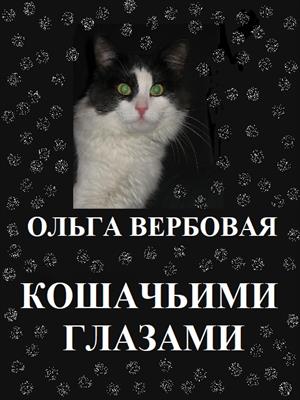 Кошачьими глазами