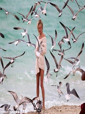 Дом у реки, заключительная часть, первая книга