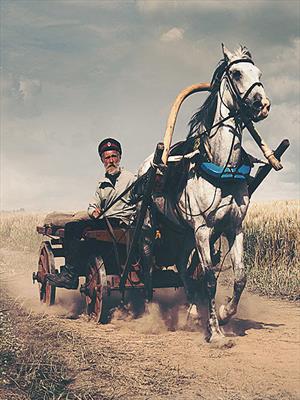 Красный журавль