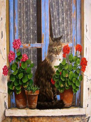 Не могу забыть кошку