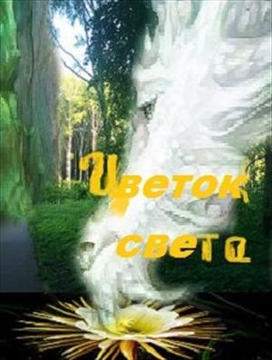 Цветок Света