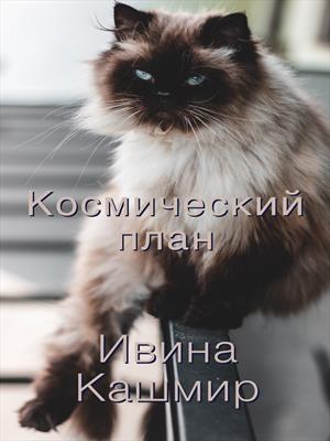 Космический план