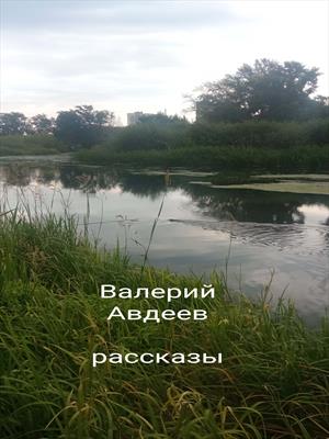 Рассказы