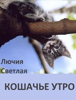 Кошачье утро