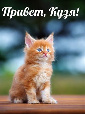 Привет, Кузя