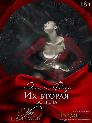 Их вторая встреча Их вторая встреча