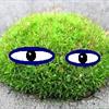 Зелёный-Мох Зелёный-Мох