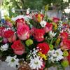 _Oxana_82 _Oxana_82